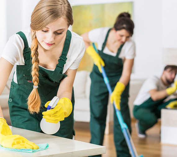 About Madam Clean Services Banner