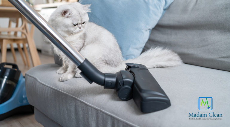 Cleaning Tips Every Pet Owner Should Know